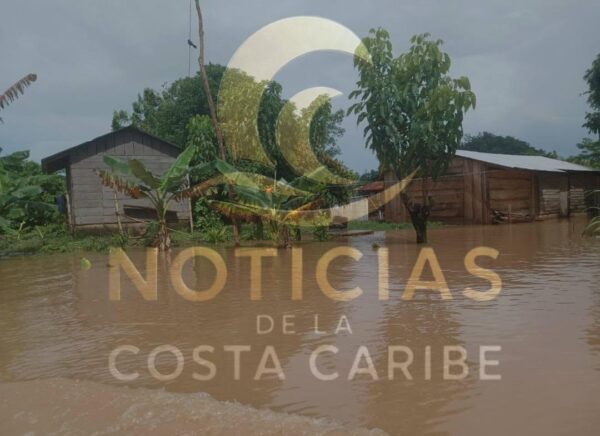 Crecida del Río Escondido inunda fincas en Bluefields, Caribe Sur