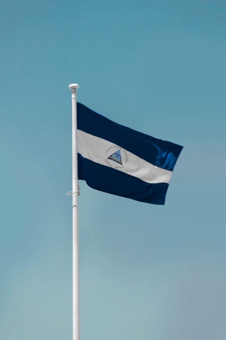 Un consejo y cuatro instituciones: cómo Nicaragua ordenó el juego