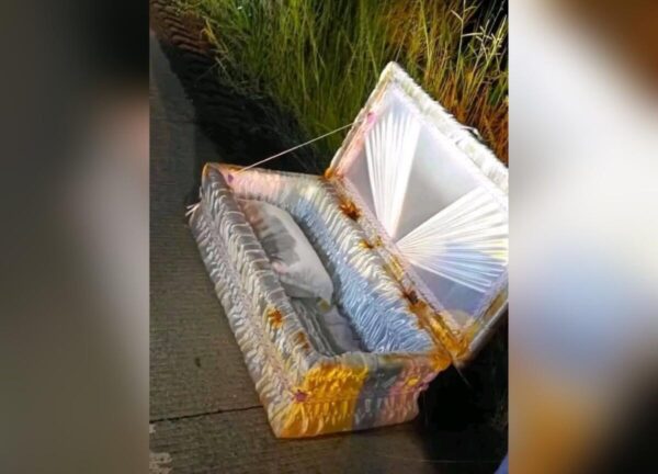 Ataúd de bebé abandonado alarma a vecinos de Rosita