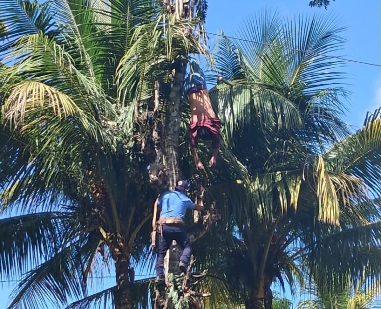 Hombre muere electrocutado al rozar con machete cable de alta tensión en Jinotega