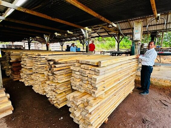 MARENA da seguimiento a la producción sostenible de madera en Camoapa