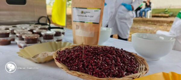 Familias de Masaya, Carazo y Rivas estrenan frijol Soberano resistente al clima