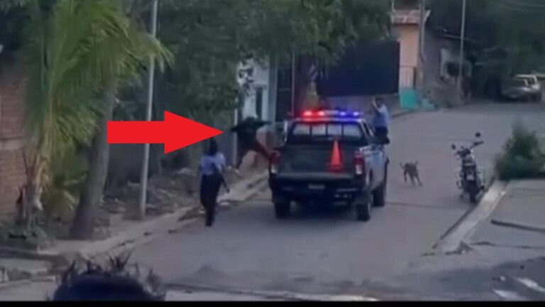 Edison Muñoz ataca con machete a policías y termina arrestado en Madriz