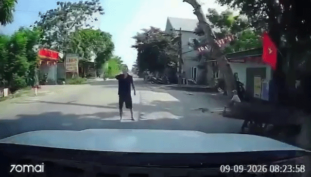 Trágico accidente en Vietnam: motociclista perece tras caerle encima un árbol  