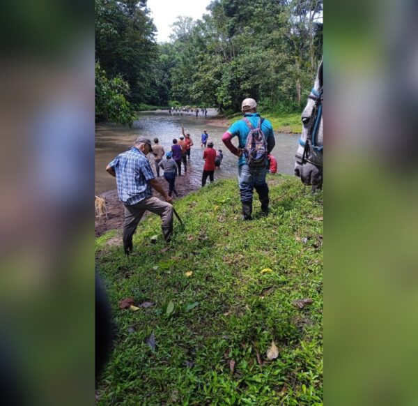 Hallan en Matagalpa a hombre de 55 años arrastrado por río en Rancho Grande