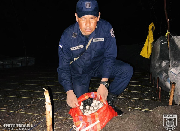 Ejército de Nicaragua realiza monitoreo y resguardo de huevos de tortuga marina en El Viejo, Chinandega