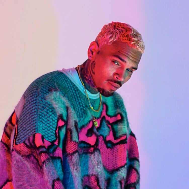 Chris Brown pagará 9.5 millones de dólares a exempleada tras ataque de uno de sus perros