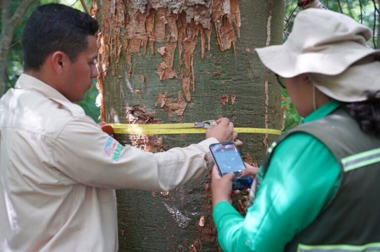 MARENA avanza en III etapa del Inventario Nacional Forestal 2026